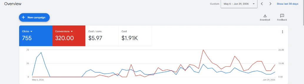Google Ads account overview